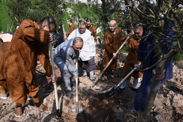 我院组织全体师生参加校园植树活动